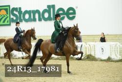 24R13_17981 thumbnail