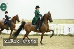 24R13_17982 thumbnail