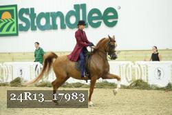 24R13_17983 thumbnail