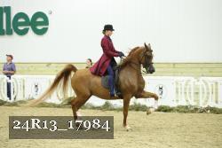 24R13_17984 thumbnail