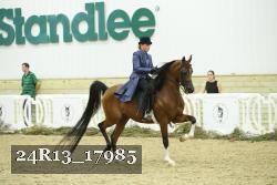 24R13_17985 thumbnail