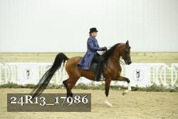 24R13_17986 thumbnail