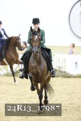 24R13_17987 thumbnail