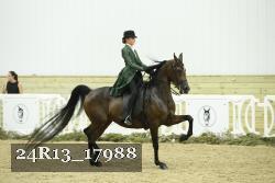 24R13_17988 thumbnail
