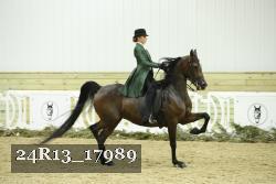 24R13_17989 thumbnail