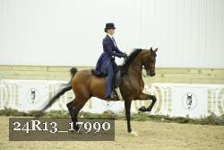 24R13_17990 thumbnail