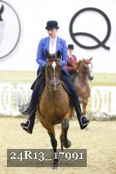 24R13_17991 thumbnail