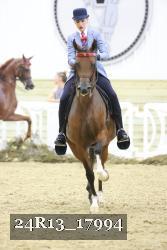 24R13_17994 thumbnail