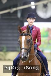 24R13_18003 thumbnail