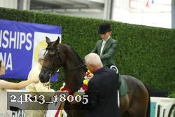 24R13_18005 thumbnail