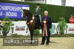 24R13_18007 thumbnail