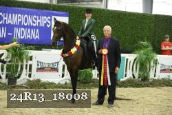 24R13_18008 thumbnail
