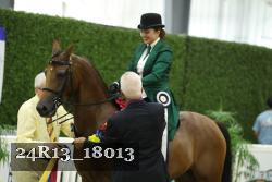 24R13_18013 thumbnail