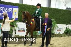 24R13_18015 thumbnail