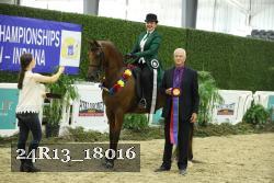 24R13_18016 thumbnail