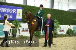 24R13_18017 thumbnail