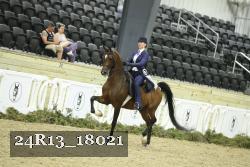 24R13_18021 thumbnail