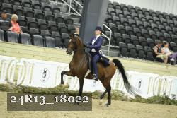 24R13_18022 thumbnail