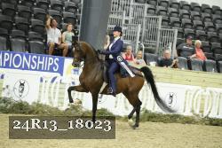 24R13_18023 thumbnail