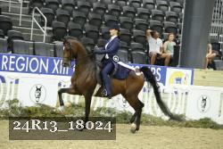 24R13_18024 thumbnail