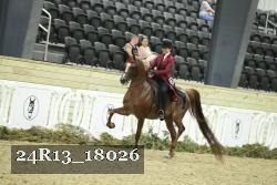 24R13_18026 thumbnail