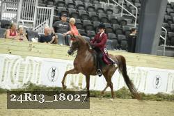 24R13_18027 thumbnail