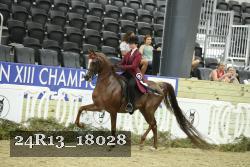 24R13_18028 thumbnail