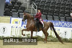 24R13_18029 thumbnail