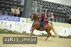 24R13_18030 thumbnail