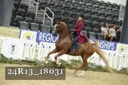 24R13_18031 thumbnail
