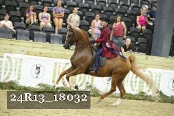 24R13_18032 thumbnail