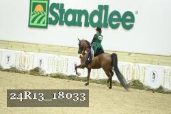 24R13_18033 thumbnail