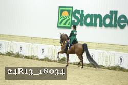 24R13_18034 thumbnail