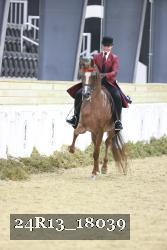 24R13_18039 thumbnail