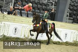 24R13_18040 thumbnail
