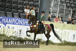 24R13_18044 thumbnail