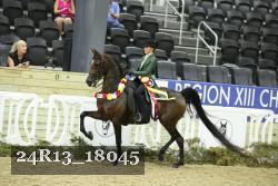 24R13_18045 thumbnail