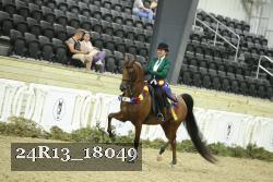 24R13_18049 thumbnail