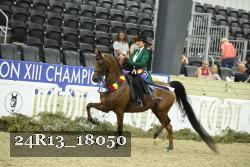 24R13_18050 thumbnail