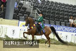 24R13_18051 thumbnail