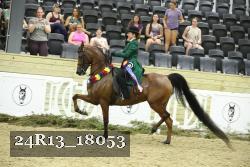 24R13_18053 thumbnail