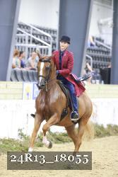24R13_18055 thumbnail