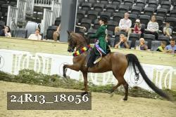 24R13_18056 thumbnail