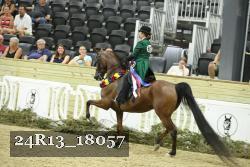 24R13_18057 thumbnail