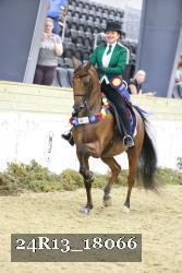 24R13_18066 thumbnail
