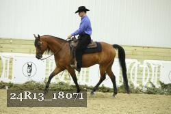 24R13_18071 thumbnail