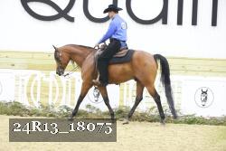 24R13_18075 thumbnail