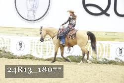 24R13_18077 thumbnail