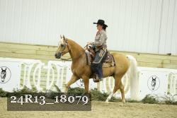 24R13_18079 thumbnail