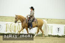 24R13_18081 thumbnail